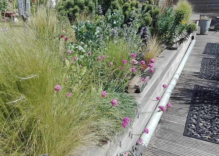 Bed & Breakfast Watervilla-albertje