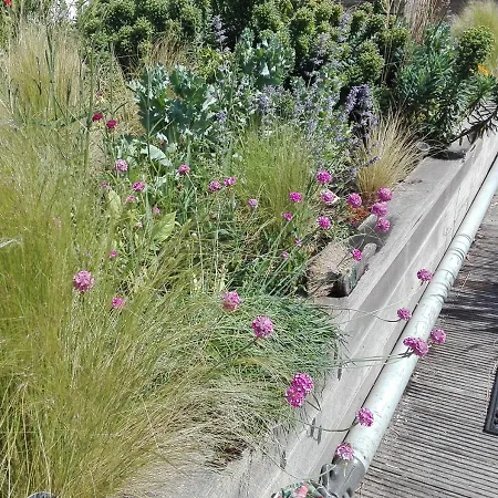 Alojamento de Acomodação e Pequeno-almoço Watervilla-albertje